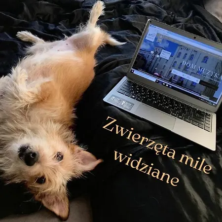 Dom Muzyka Apart-hotel 3*
